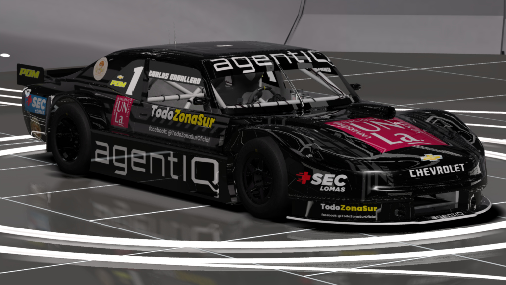 Car Skin